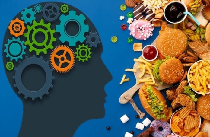 Consumo excessivo de alimentos ultraprocessados aumenta o risco de declínio cognitivo