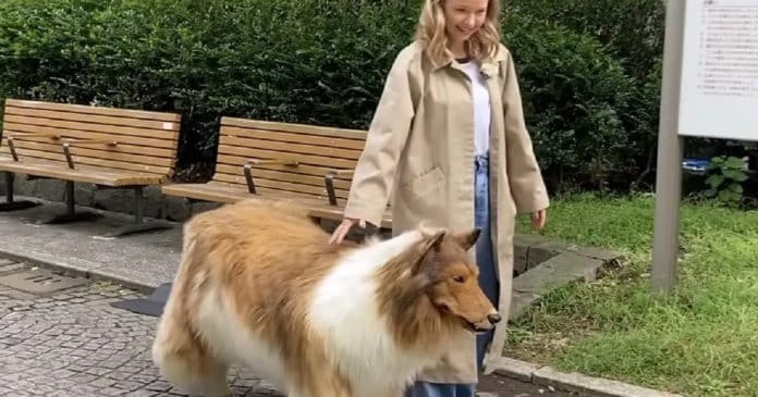 Homem que pagou R$ 72 mil em fantasia realista de cachorro faz primeiro passeio na rua; assista