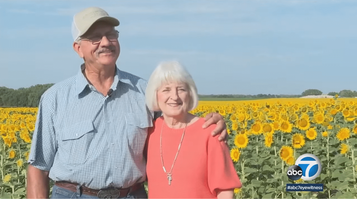 psicologiasdobrasil.com.br - Homem planta secretamente 1,2 milhão de girassóis para comemorar 50 anos de casamento  Kelsey Bjork