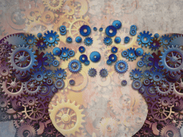 Como Apostar Corretamente e Por Que Isso é Importante?