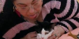 Dona de cinco gatos diz ser viciada em comer bolas de pelos de seus animais