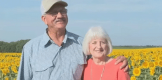 Homem planta secretamente 1,2 milhão de girassóis para comemorar 50 anos de casamento  Kelsey Bjork