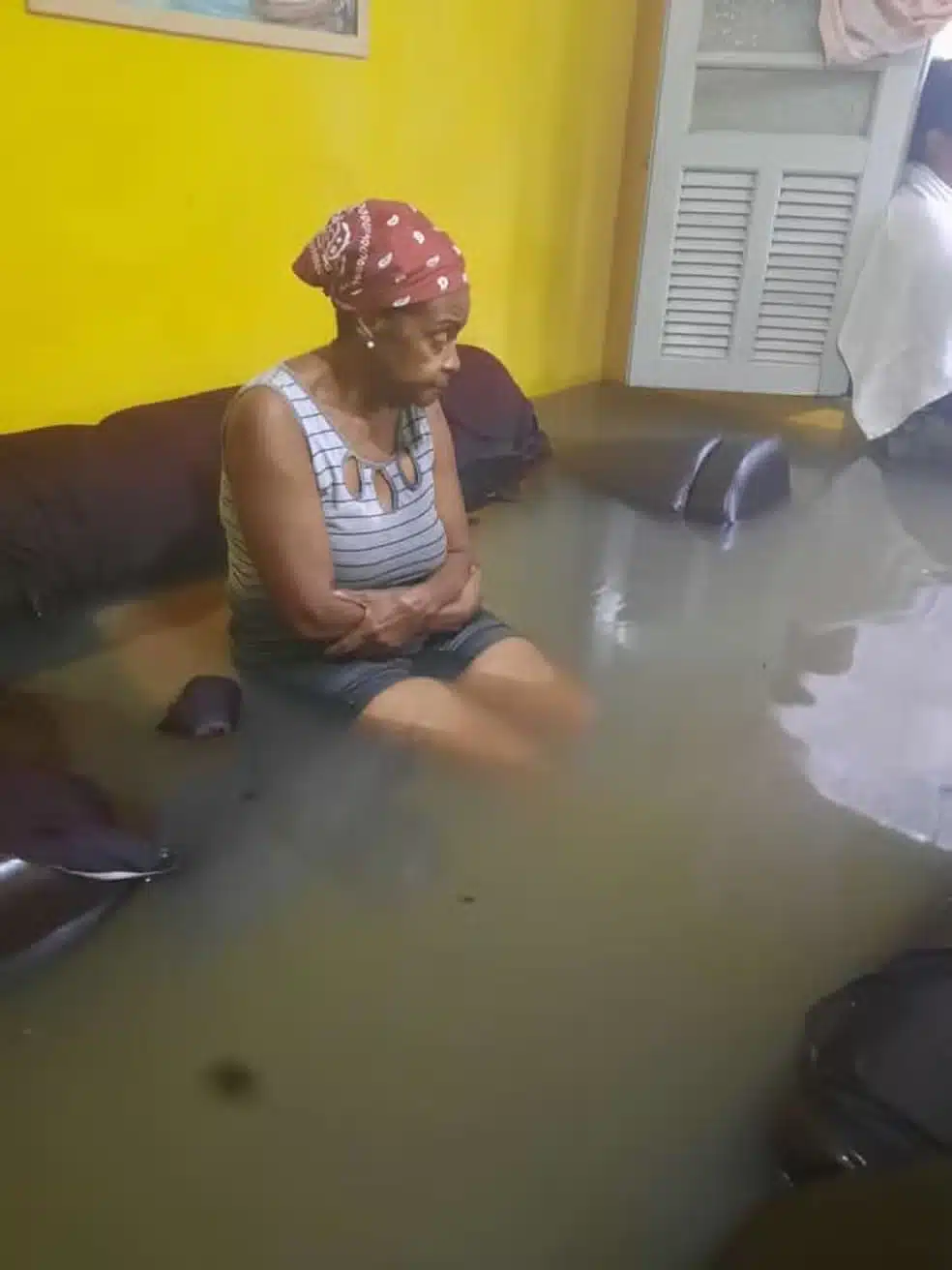 psicologiasdobrasil.com.br - Idosa que teve casa alagada e salvou cachorro ganha mais de R$ 100 mil arrecadados em vaquinha