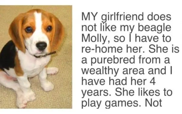 psicologiasdobrasil.com.br - Rapaz recebe ultimato de namorada: "Ou a cachorrinha ou eu"