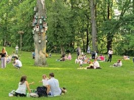 Pessoas que vivem em cidades com maior espaço verde têm melhor saúde mental, comprova estudo