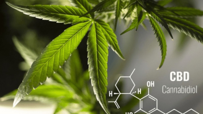 CBD e seus benefícios para a saúde mental no Brasil