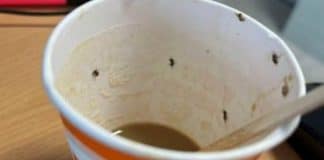Jovem vai parar na UTI e luta pela vida após tomar café cheio de insetos