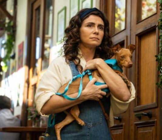 Deliciosa comédia romântica com Giovanna Antonelli chegou na Netflix conquistando o público