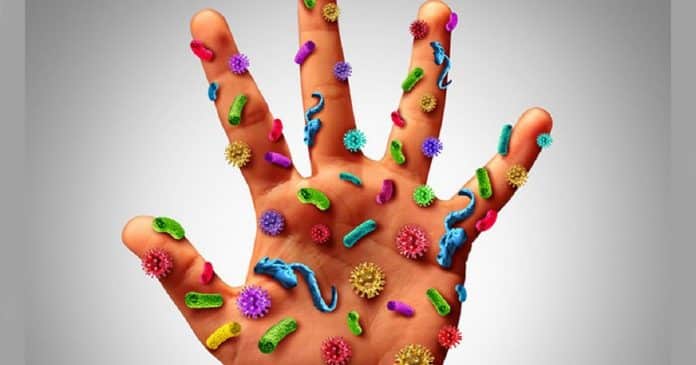 Saiba quais são os 7 objetos contaminantes mais sujos do seu dia a dia