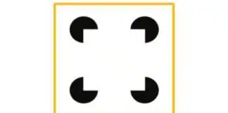 Este teste de ilusão de ótica pode ajudar em diagnóstico de autismo, segundo estudo
