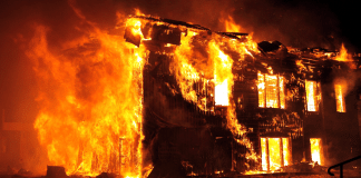 Incêndios em Los Angeles: como a Terapia EMDR pode ajudar em situações de desastres naturais
