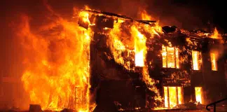 Incêndios em Los Angeles: como a Terapia EMDR pode ajudar em situações de desastres naturais
