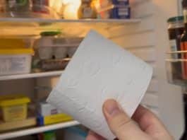 Por que as pessoas estão colocando um rolo de papel higiênico na geladeira? (Foto: Ilustração/Captura de tela/Youtube)