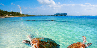 Lua de mel no Caribe: explorando o destino perfeito para casais