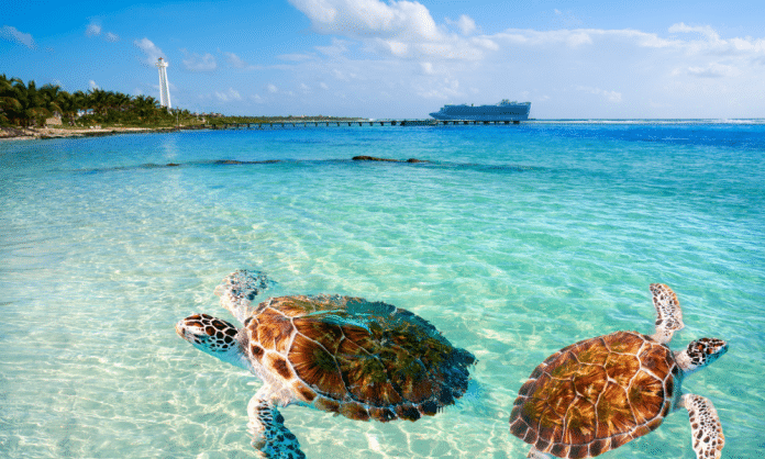 Lua de mel no Caribe: explorando o destino perfeito para casais