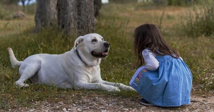 5 traços de personalidade de pessoas que conversam com pets, segundo a Psicologia