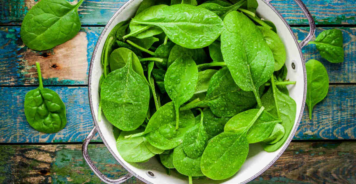 psicologiasdobrasil.com.br - Você sabe qual é o vegetal que estimula o colágeno e ajuda a combater a dor no joelho?
