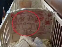 Irmãos isolados do mundo por mais de três anos fizeram desenhos assustadores durante o cativeiro — Foto: Reprodução/Polícia Nacional da Espanha