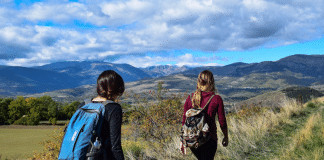 Do trekking à observação de fauna: atividades para amantes da natureza