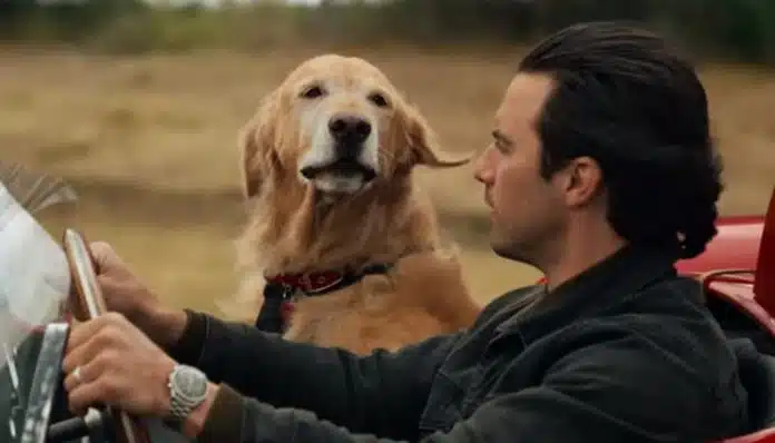 Novo filme da Netflix arranca lágrimas do público e já é apontado como o drama mais tocante do ano Novo filme da Netflix arranca lágrimas do público e já é apontado como o drama mais tocante do ano