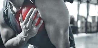 Dois anos de musculação podem rejuvenescer um coração de 50 anos para um coração de 20 anos