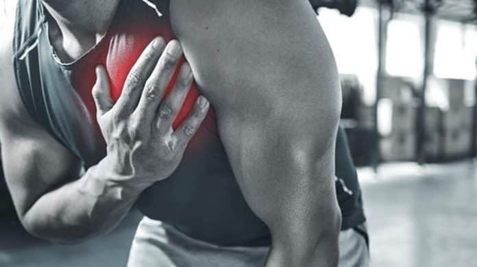 Estudo revela que 2 anos de musculação podem rejuvenescer um coração de 50 anos para o equivalente a 20