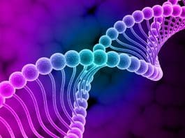 psicologiasdobrasil.com.br -