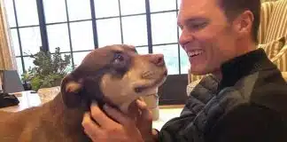Tom Brady surpreende fãs ao revelar que clonou sua cachorra após a morte — e mostra o resultado