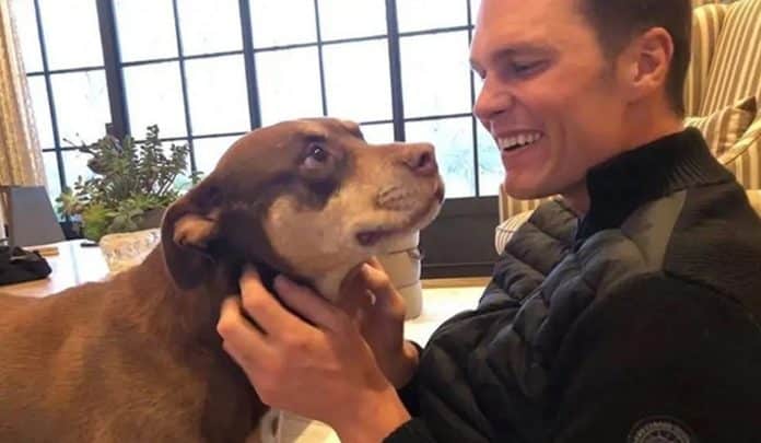 Tom Brady surpreende fãs ao revelar que clonou sua cachorra após a morte — e mostra o resultado