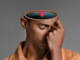 Especialistas dizem ter encontrado um novo perfil de personalidade que não é introvertido nem extrovertido Especialistas dizem ter encontrado um novo perfil de personalidade que não é introvertido nem extrovertido