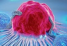 Do prato ao DNA: o que estes 8 alimentos têm a ver com prevenção do câncer Do prato ao DNA: o que estes 8 alimentos têm a ver com prevenção do câncer