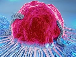 Do prato ao DNA: o que estes 8 alimentos têm a ver com prevenção do câncer Do prato ao DNA: o que estes 8 alimentos têm a ver com prevenção do câncer