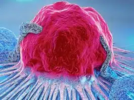 Do prato ao DNA: o que estes 8 alimentos têm a ver com prevenção do câncer