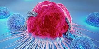 Do prato ao DNA: o que estes 8 alimentos têm a ver com prevenção do câncer Do prato ao DNA: o que estes 8 alimentos têm a ver com prevenção do câncer