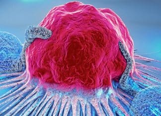 psicologiasdobrasil.com.br - psicologiasdobrasil.com.br -