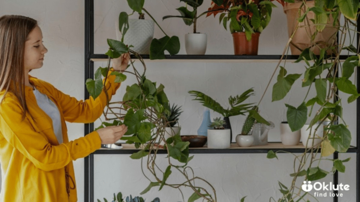 psicologiasdobrasil.com.br - Plantas de baixa manuten&ccedil;&atilde;o para varandas em casas compactas