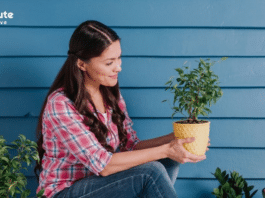 Plantas de baixa manutenção para varandas em casas compactas