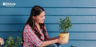 Plantas de baixa manutenção para varandas em casas compactas