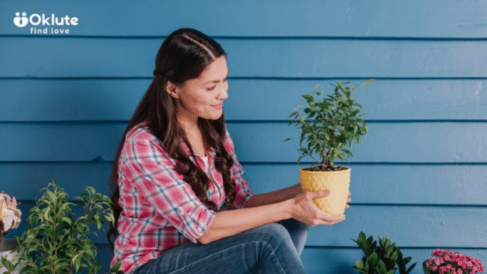 Plantas de baixa manutenção para varandas em casas compactas
