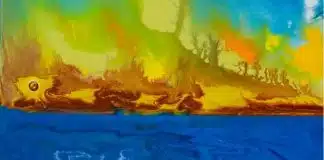 Teste de Personalidade por Ilusão de Ótica