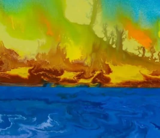 Teste de Personalidade por Ilusão de Ótica