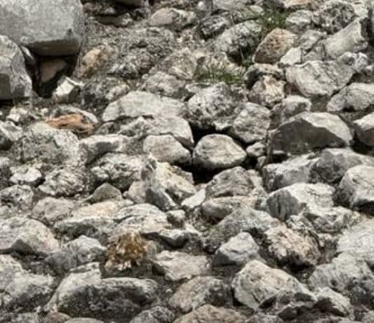 psicologiasdobrasil.com.br - psicologiasdobrasil.com.br -