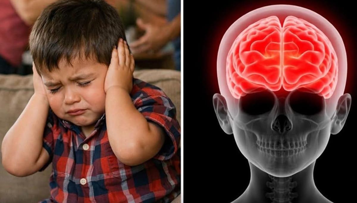 psicologiasdobrasil.com.br - O que acontece dentro do c&eacute;rebro de uma crian&ccedil;a quando os pais discutem pode ser mais s&eacute;rio do que muitos imaginam