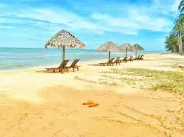 A ciência do “Blue Mind”: como viajar para a praia ajuda na melhora da saúde mental?