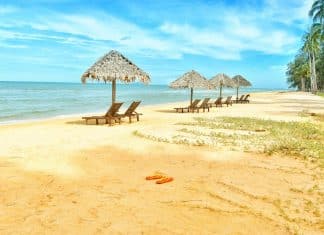 psicologiasdobrasil.com.br -